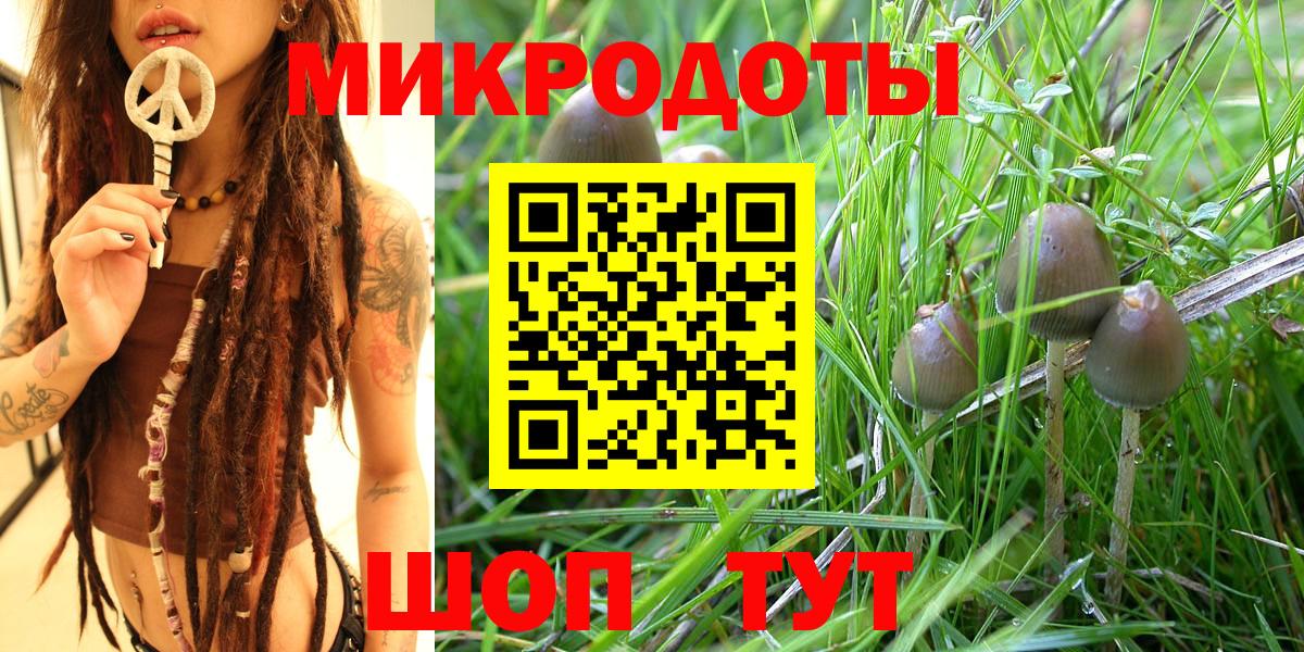 Псилоцибиновые грибы Magic Shrooms Курск